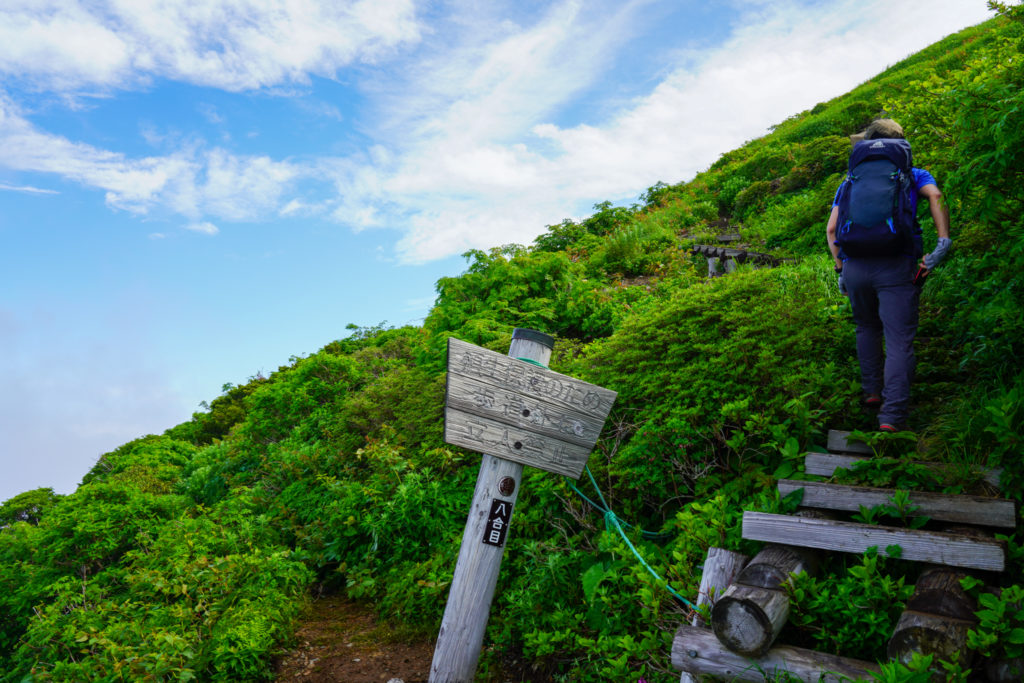 平標山・仙ノ倉山・木道続く八合目