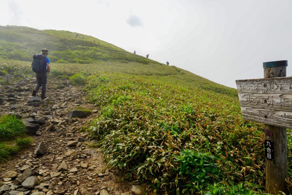 平標山・仙ノ倉山・九合目