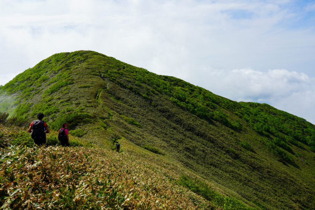 平標山・仙ノ倉山・平標山ビクトリーロード