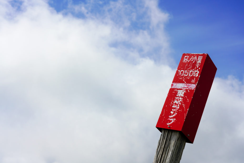 平標山・仙ノ倉山・ついつい撮っちゃう東芝ランプ