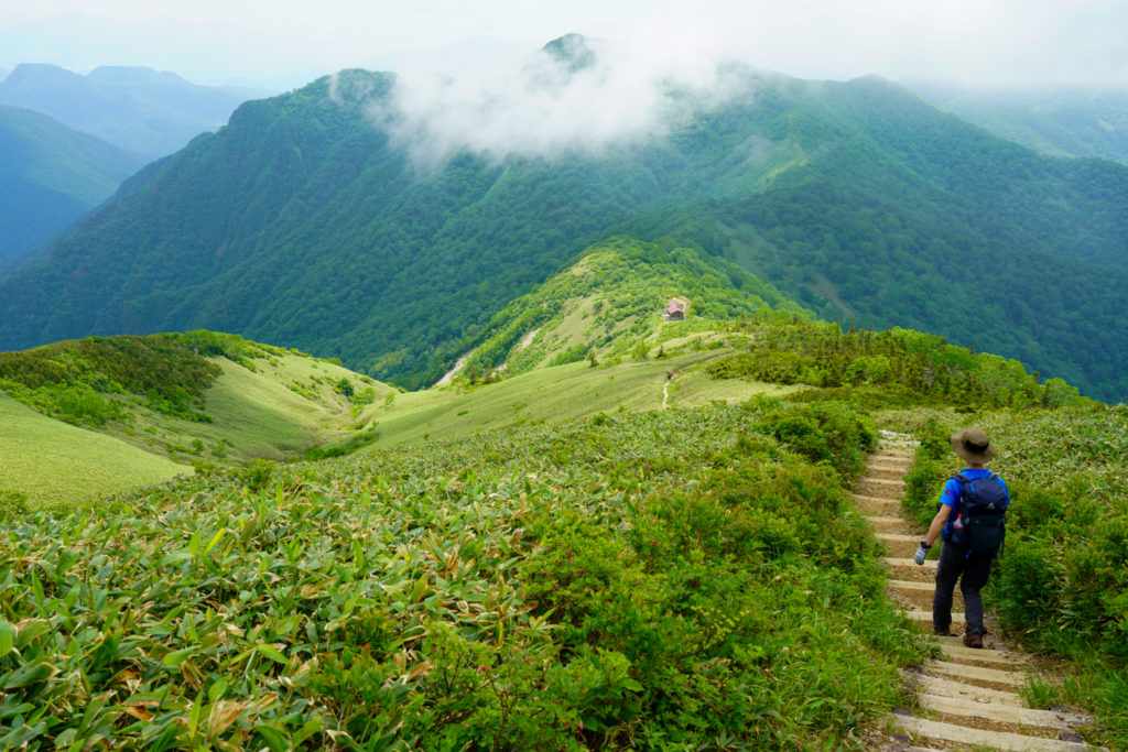 平標山・仙ノ倉山・平標山ノ家へと続く木道、その2