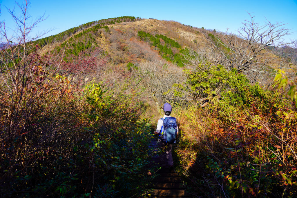 塔ノ岳・丹沢山・二ノ塔から三ノ塔へ