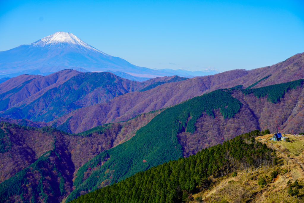 塔ノ岳・丹沢山・三ノ塔から見る富士山
