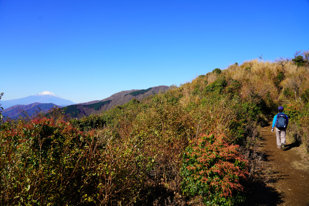 塔ノ岳・丹沢山・烏尾山から行者岳へ
