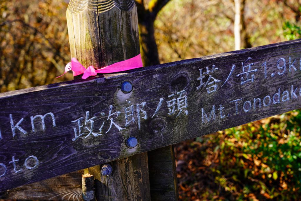 塔ノ岳・丹沢山・政次郎ノ頭