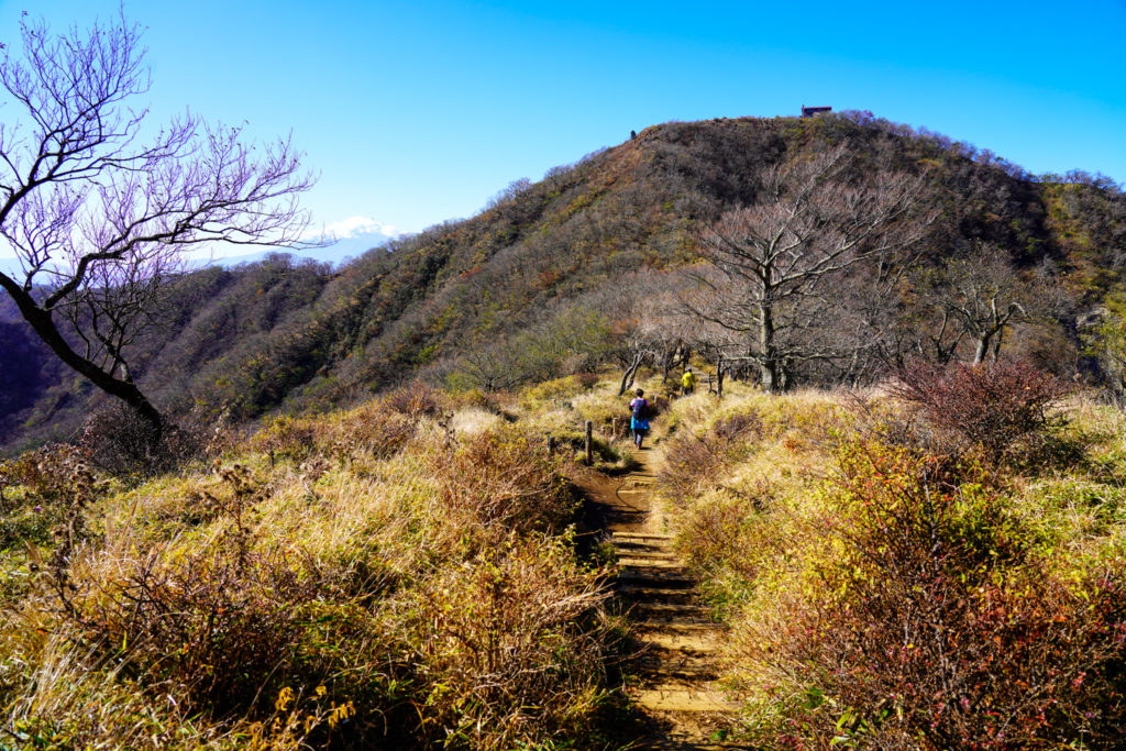 塔ノ岳・丹沢山・木ノ又小屋から塔ノ岳へ2