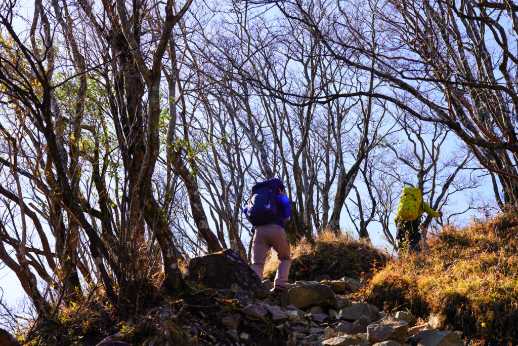 塔ノ岳・丹沢山・塔ノ岳へのビクトリーロード