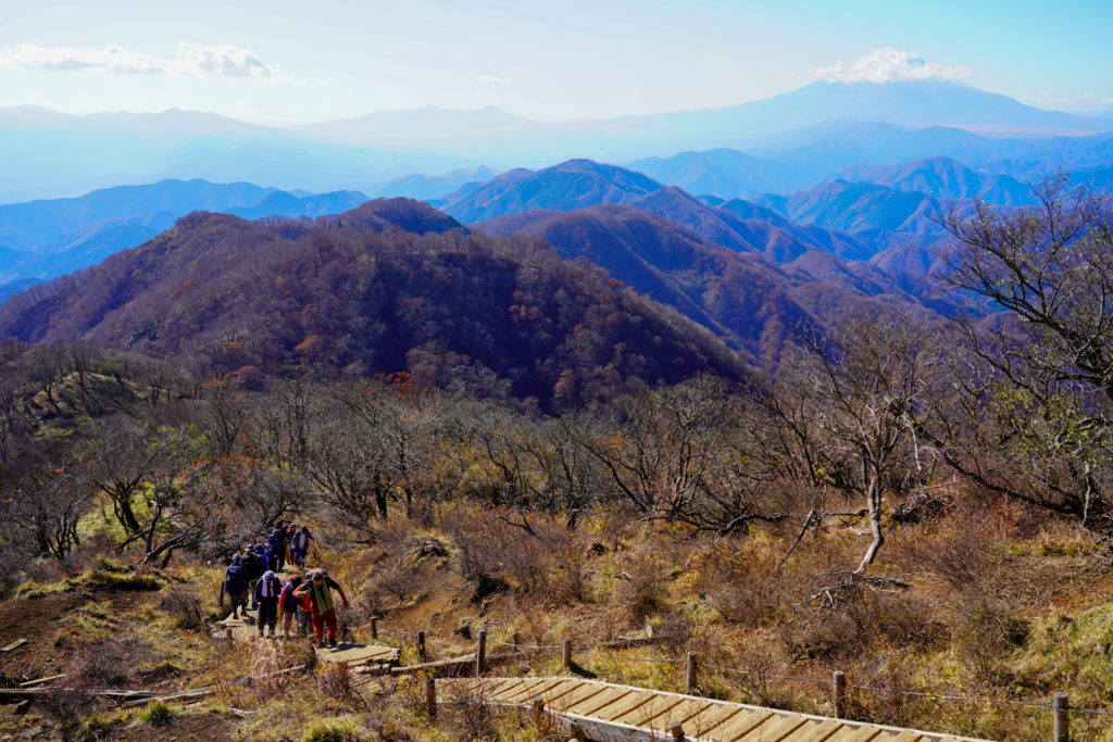 塔ノ岳・丹沢山・塔ノ岳から大倉尾根、富士山を望む