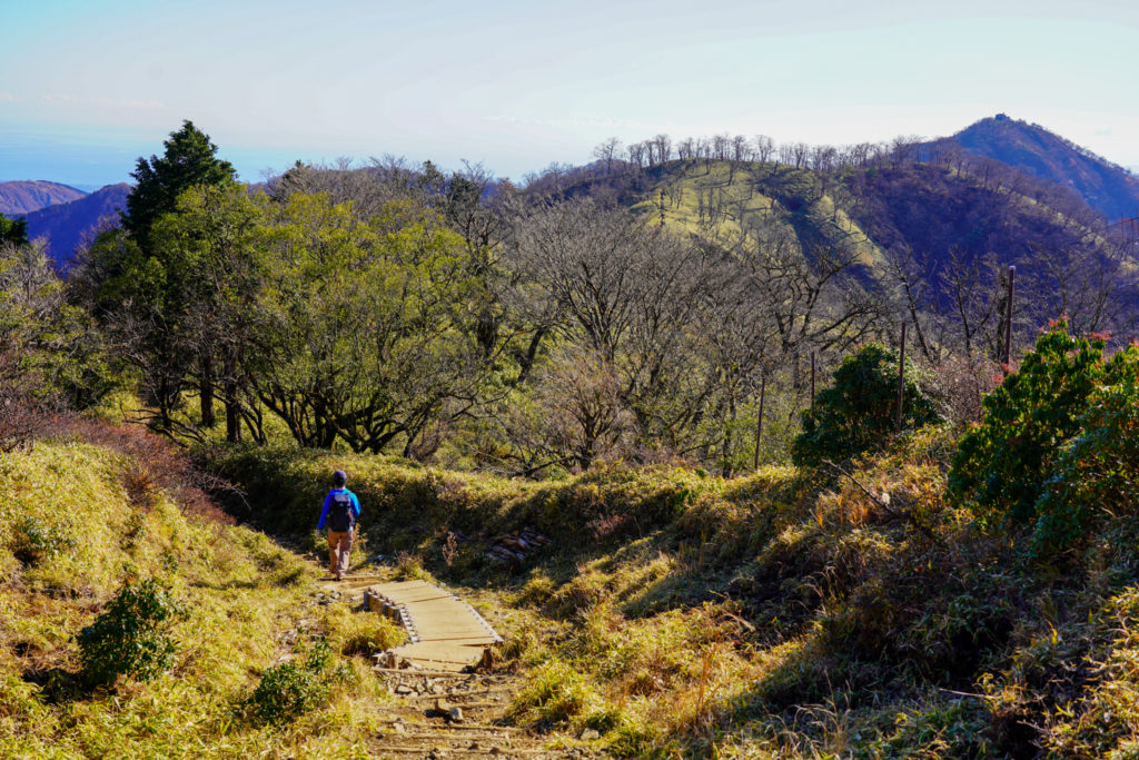 塔ノ岳・丹沢山・丹沢山から塔ノ岳へ
