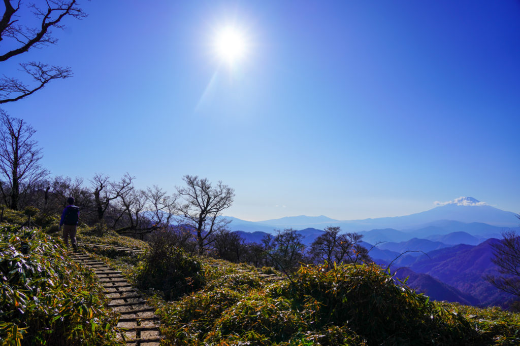 塔ノ岳・丹沢山・丹沢からの富士