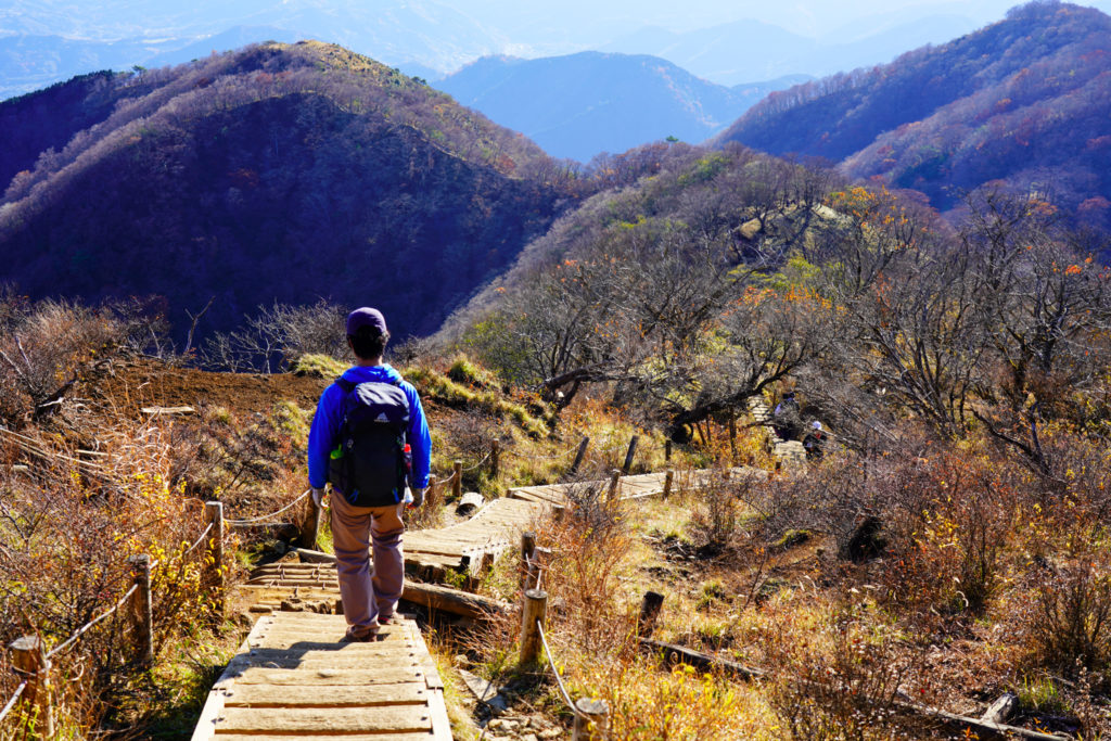 塔ノ岳・丹沢山・大倉尾根を下る