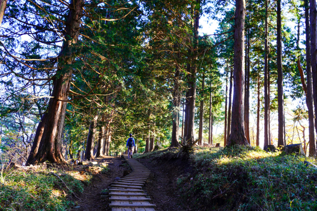 塔ノ岳・丹沢山・木道