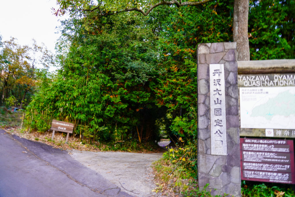 塔ノ岳・丹沢山・あの人がいない・・・大蔵尾根No.0