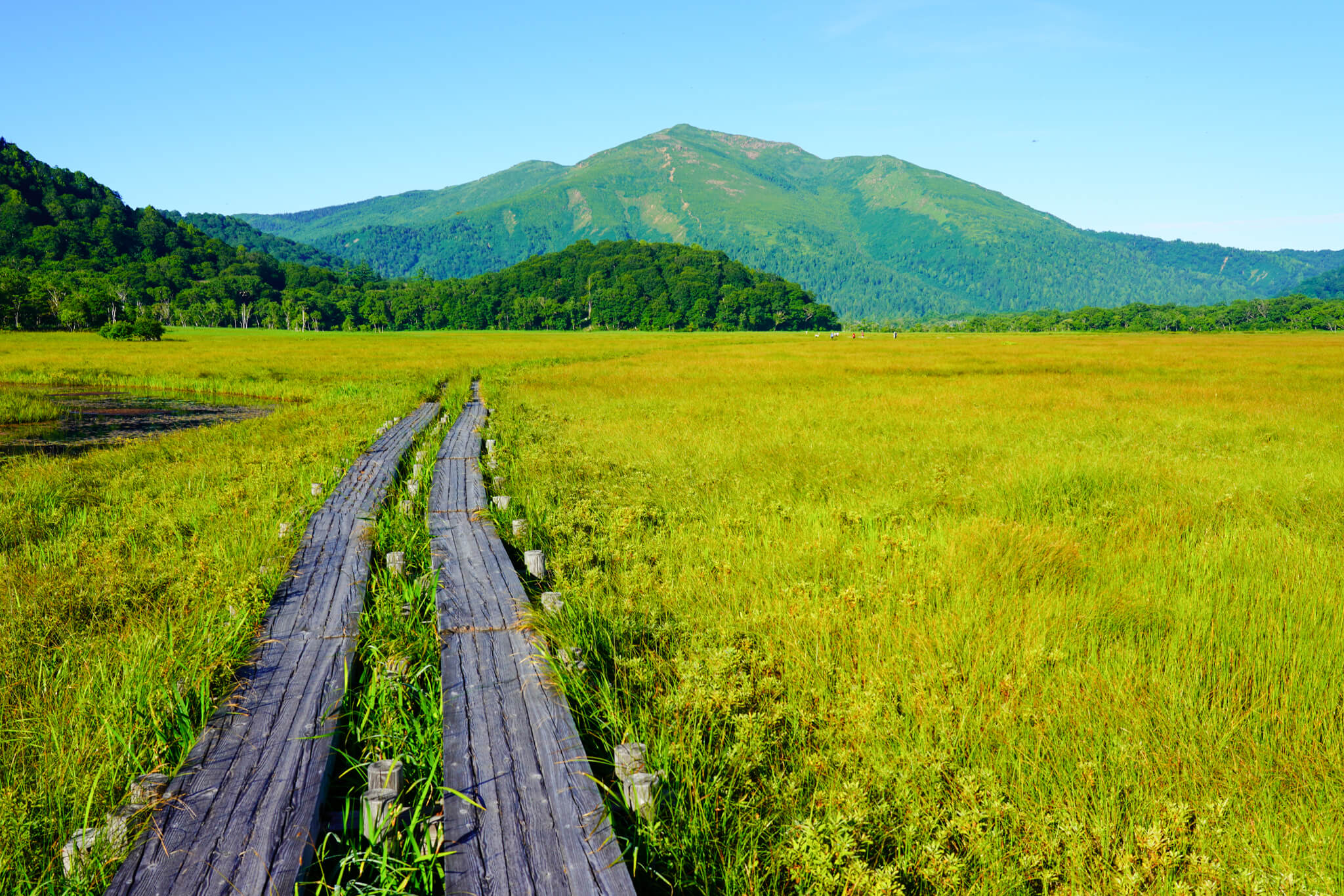 はじめての尾瀬、8月の尾瀬・鳩待峠から至仏山・日帰り登山 | 今日、山ちょっと行ってくる