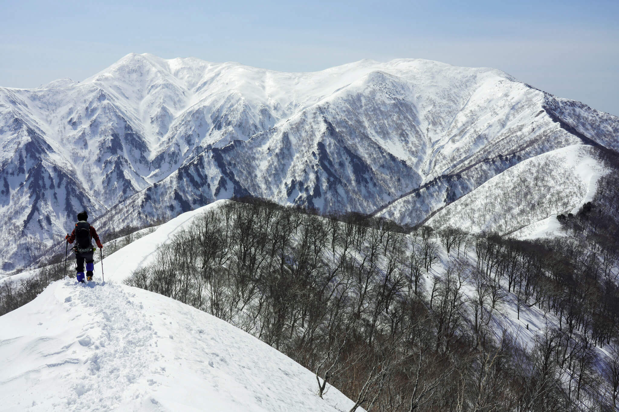 【残雪期限定の山】日白山から白銀の仙ノ倉山、平標山を望む・日帰り登山