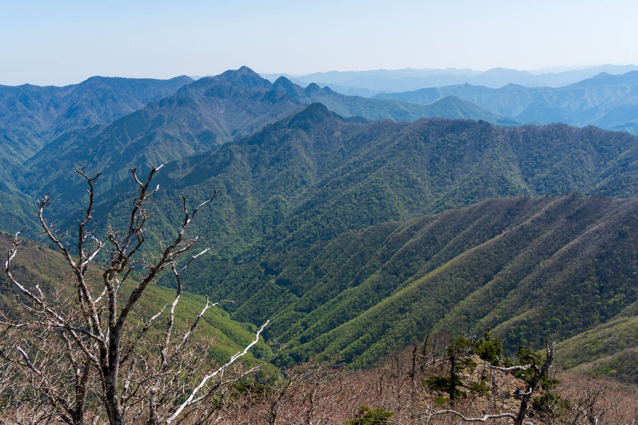 GW三重・奈良遠征2日目】大峰山（弥山・八経ヶ岳）・日帰り登山│カラログ | 四季折々の山を楽しむ登山ブログ